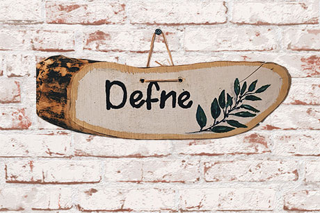DEFNE